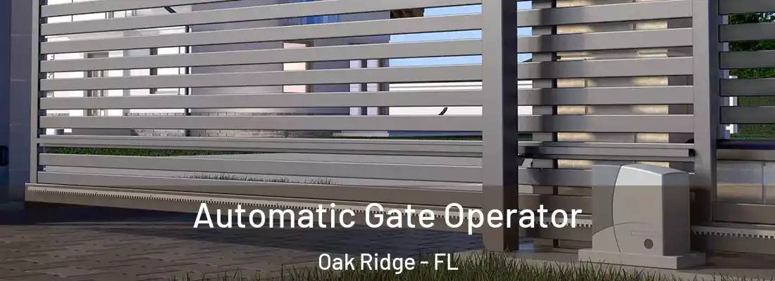 Automatic Gate Operator Oak Ridge - FL