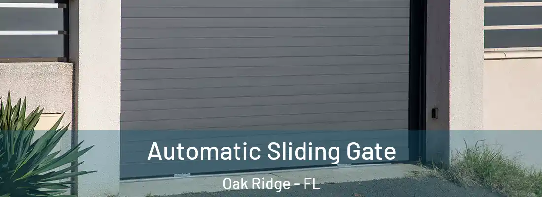 Automatic Sliding Gate Oak Ridge - FL