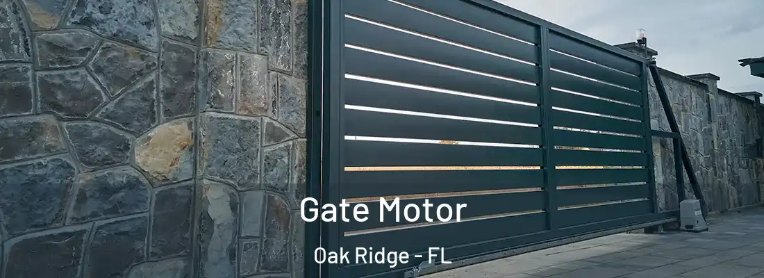 Gate Motor Oak Ridge - FL