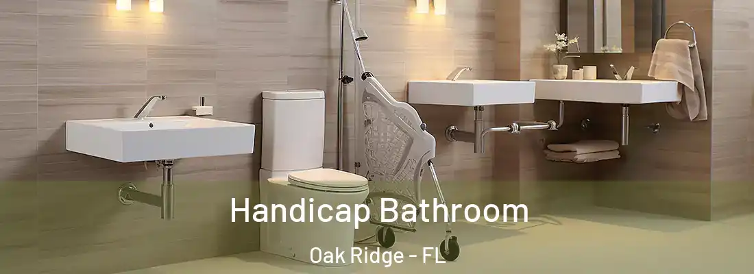 Handicap Bathroom Oak Ridge - FL