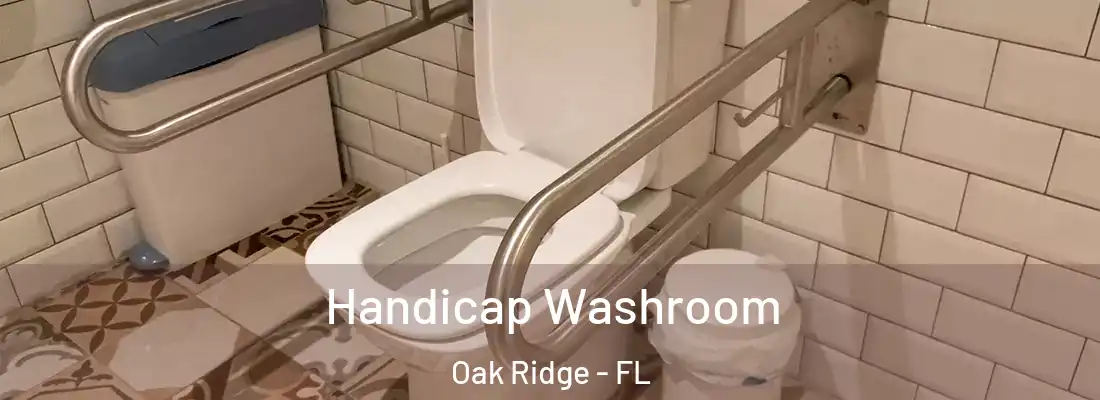 Handicap Washroom Oak Ridge - FL