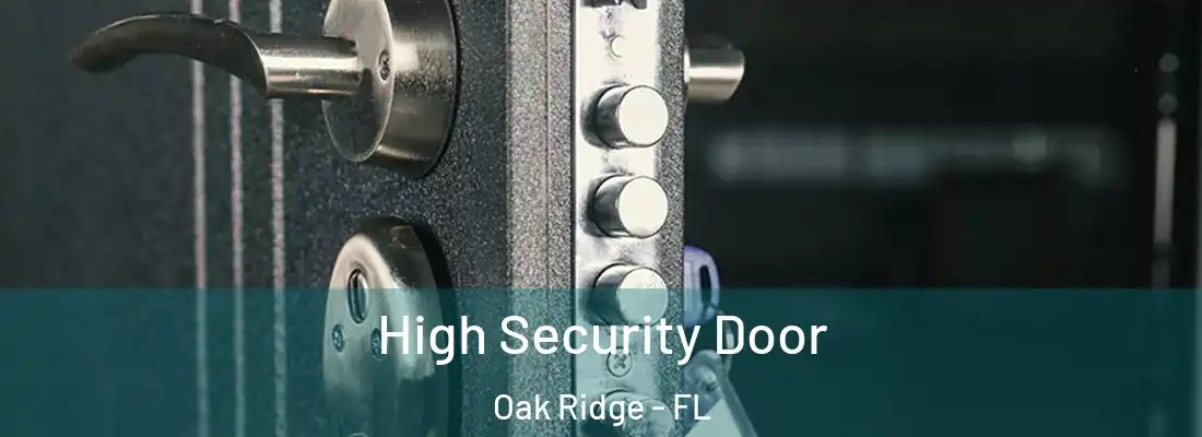 High Security Door Oak Ridge - FL