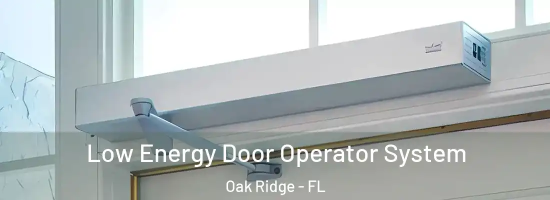  Low Energy Door Operator System Oak Ridge - FL