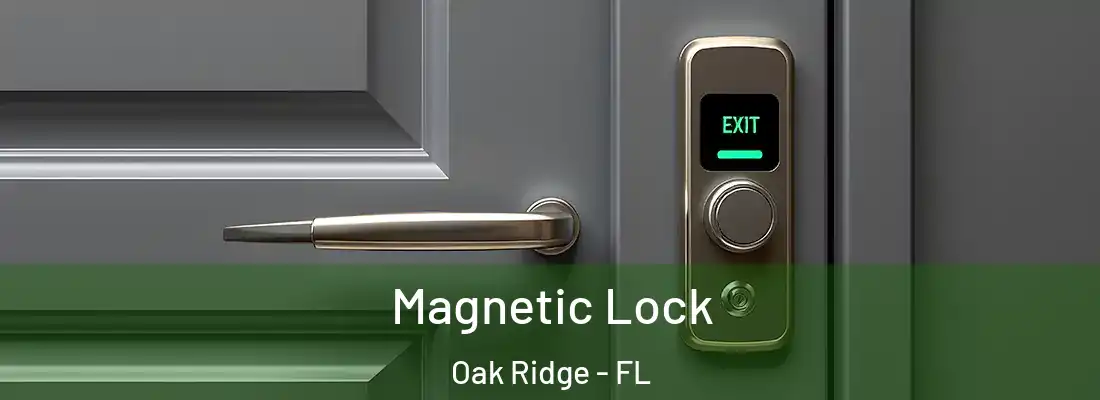 Magnetic Lock Oak Ridge - FL