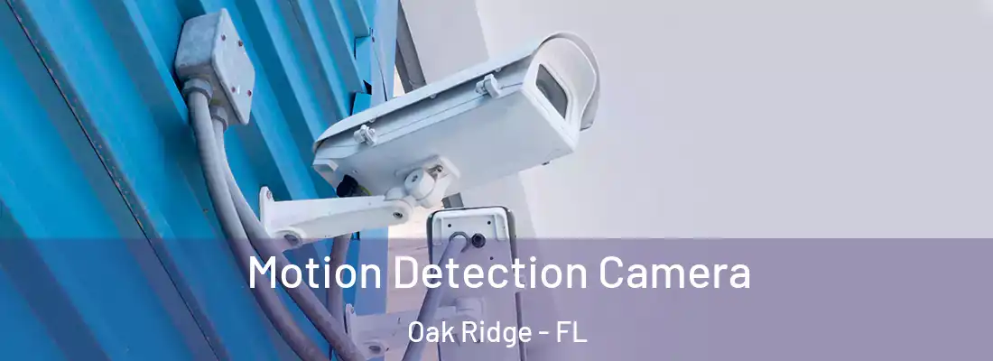  Motion Detection Camera Oak Ridge - FL