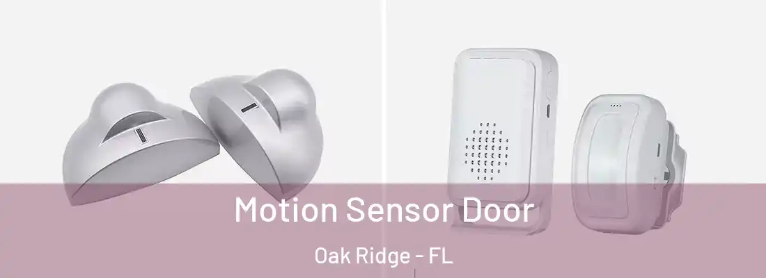 Motion Sensor Door Oak Ridge - FL