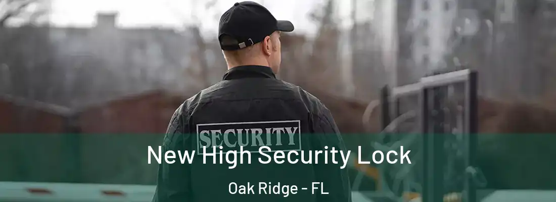  New High Security Lock Oak Ridge - FL