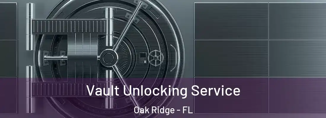 Vault Unlocking Service Oak Ridge - FL